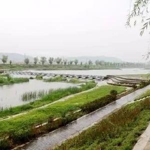 沙河明德小学开展“小手拉大手，文明一起走”主题教育实践活动