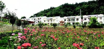 尹吉甫镇财政所：戴党徽亮身份  树形象做表率