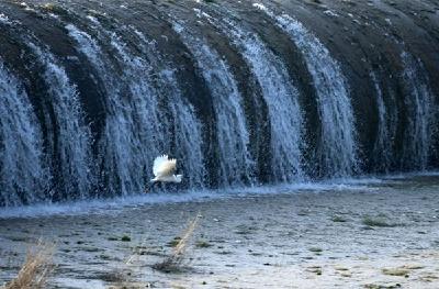房县民间“三员”巡河护水 
