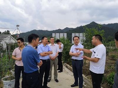 省水利厅袁俊光调研窑淮镇节水项目建设情况