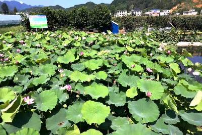 人社局“五举措”加强定点培训机构监管