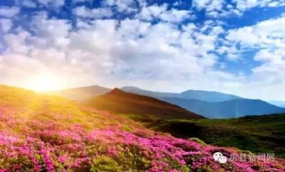 房县供销社协力万峪乡防汛抗旱工作