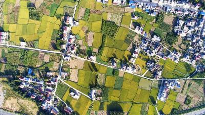 我与共和国同龄