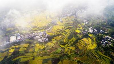 房县一中利用假期开展干部作风大整顿活动