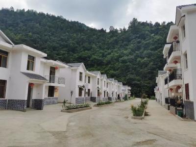 青锋镇：整治“马路市场” 助力文明创建