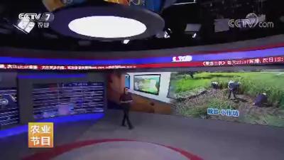 【聚焦三农】小作坊如何成为脱贫大产业