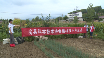  县科协组织开展科技下乡活动