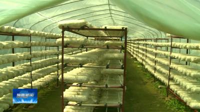 房县新闻20191017