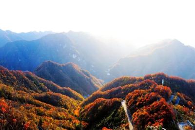 从生态修复到文化铸魂 | 尧治河绿水青山的“价值密码”