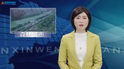 房县创森林建设美好家园