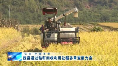 房县新闻20191003