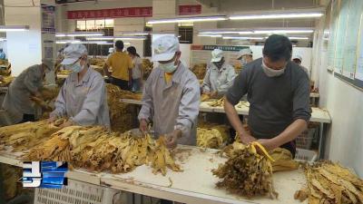 房县新闻20191014