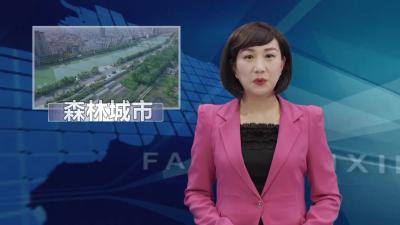 房县：创建森林城市   建设美好家园