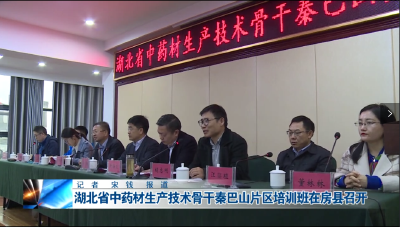 房县新闻20191122