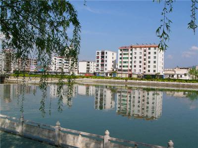 两高两部：涉黑恶在逃人员明年1月底前投案算自首