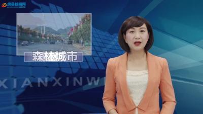 《壮丽70年奋斗新时代》创森系列之四:坚持严管驱动营造共护氛围