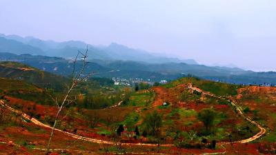  县市场监督管理局开展整治食品安全问题联合行动