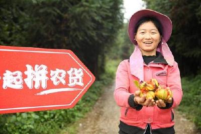 湖北启动“村播计划” 计划明年培育二百名网红新农人