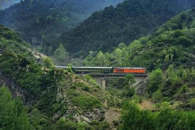 驶向未来的“脑机接口”列车