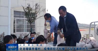 房县新闻20200319
