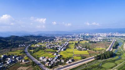 房县教研室：构建“网络教研、在线教学”方式，全力做好教学指导和服务工作