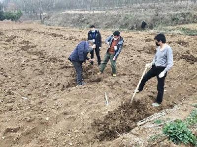 房县新闻20200312