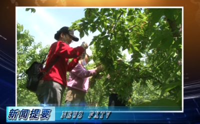 房县新闻20200503