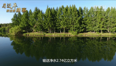 新闻特写：我眼中的万松