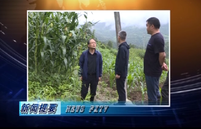 房县新闻20200717