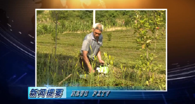 房县新闻20200716