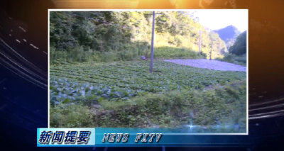 房县新闻20200703