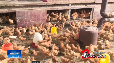 房县新闻20200709