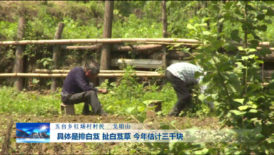 房县新闻20200707