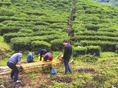 窑淮镇：群众站“C”位 村貌焕新颜