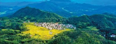 关于对十堰市开展生态环境保护督察“回头看”的公告