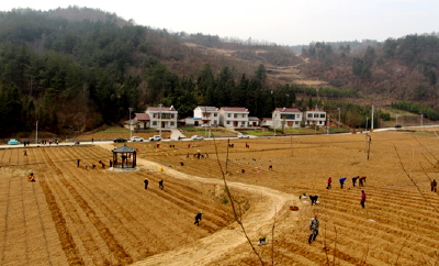 门古寺镇：春耕生产忙 产业遍地兴