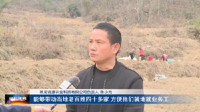 《记者走基层》红塔镇：人勤春来早 春耕正当时