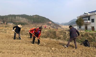 红塔镇：人勤春来早  春耕正当时