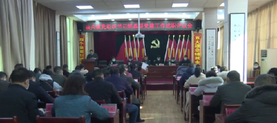 城关镇开展党组织书记抓党建工作述职评议