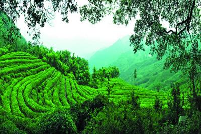 县审计局多举措开启新一年工作