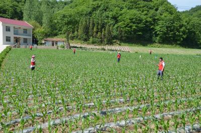 县农业农村局蝉联全省农业农村工作成绩突出单位