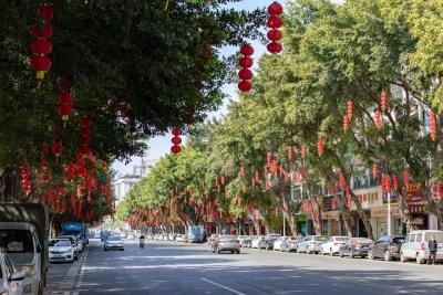 【此心安处是吾乡①】中国人把就地过年过出了新年俗年味