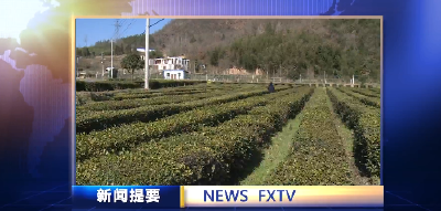 房县新闻20210202