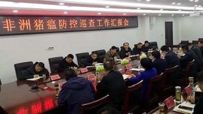 省巡查组来我县检查非洲猪瘟防控工作