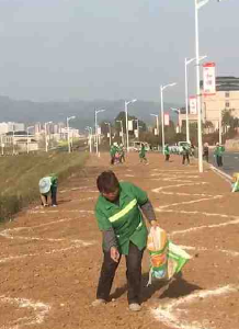 房县住建局播绿种花美家园