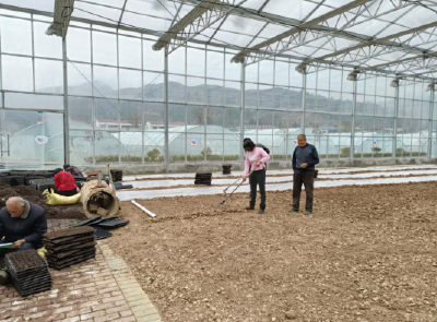 化龙堰镇：田间地头春耕忙，打好产业“基础桩”