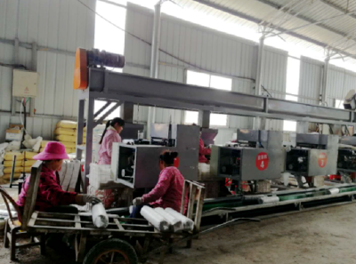 沙河乡：抢抓农时，500万袋食用菌开启制袋加速度