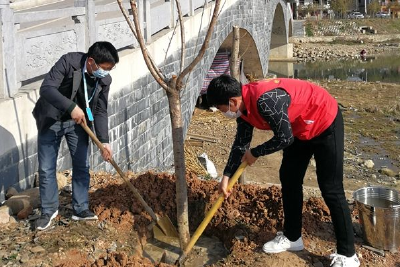 军店镇：开展“七边”种树拉开乡村振兴大幕