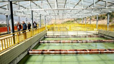 房县：饮水工程补齐乡村“解渴”短板