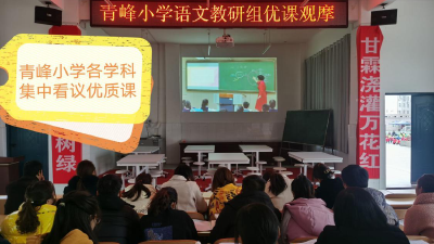 青峰小学：观摩中学习   交流中成长